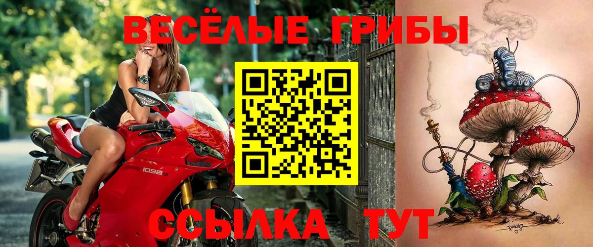 Галлюциногенные грибы Cubensis  Вход с VPN  Тулун 